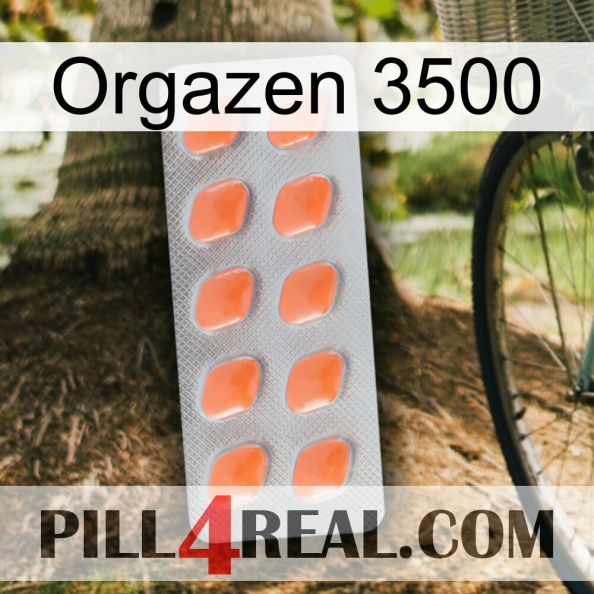 Orgazen 3500 26.jpg